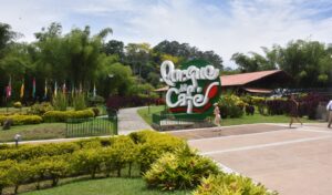 Planes al eje cafetero desde Cali