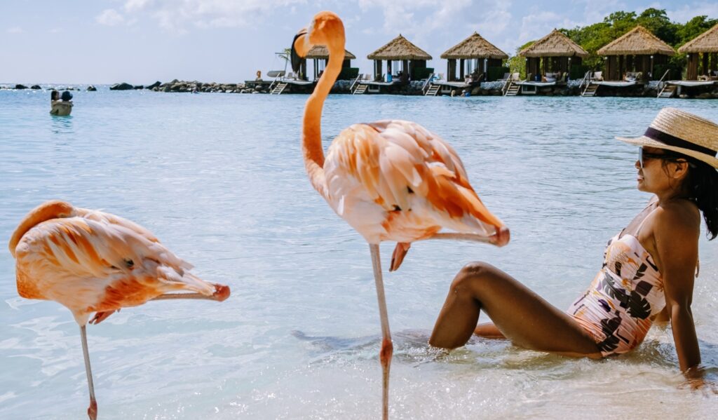Aruba planes sin visa