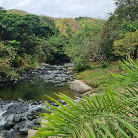 Cascada del Oeste caminata en Cali